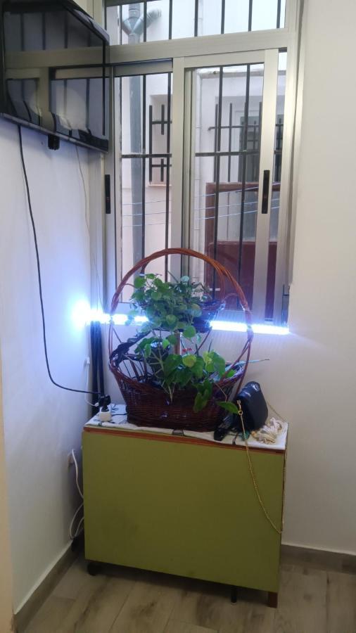 Apartamento Alicia Мадрид Екстериор снимка